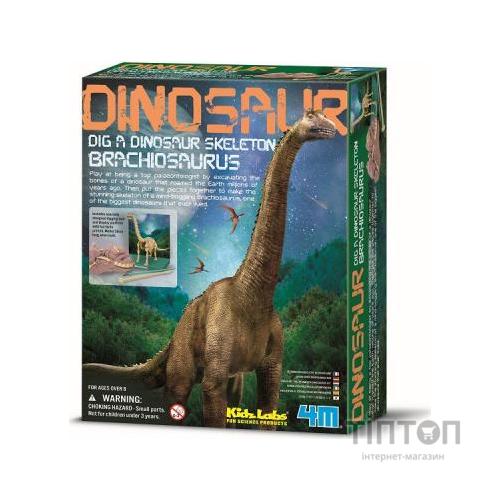 Набір для експериментів 4М Скелет брахіозавра (00-03237)