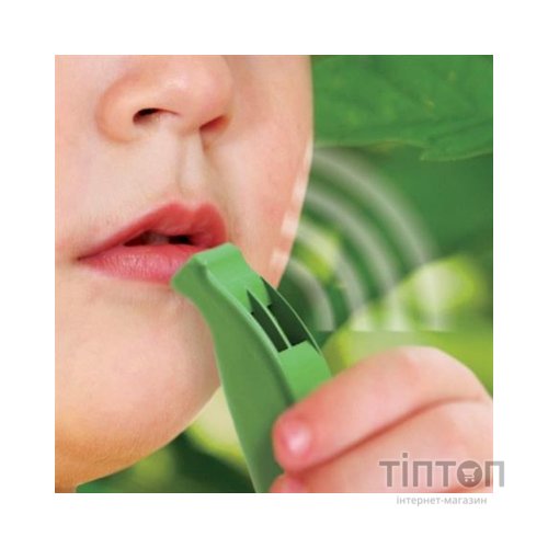 Набір для експериментів EDU-Toys Комплект 6 в 1 (BL128)