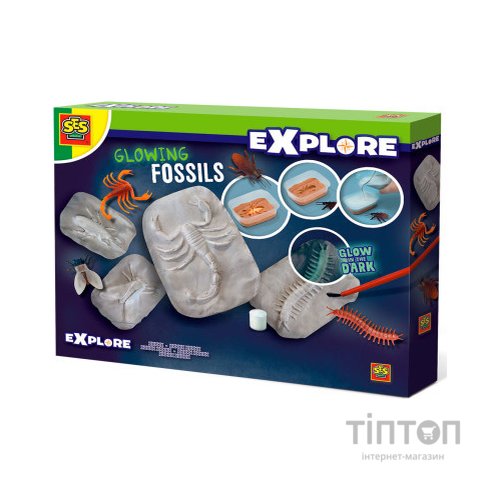 Набір для експериментів Ses Creative Дослідник Світні скам'янілості комах (25073S)