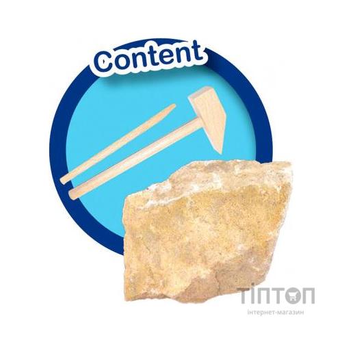 Набір для експериментів Ses Дослідник Розкопки скелета Тиранозавра (25028S)