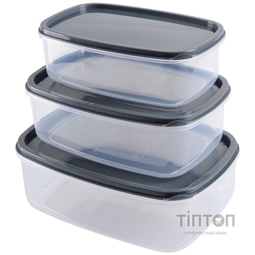 Набір контейнерів Violet House 0495 ANTRACITE 1.35/2/3.15 л