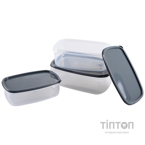 Набір контейнерів Violet House 0495 ANTRACITE 1.35/2/3.15 л