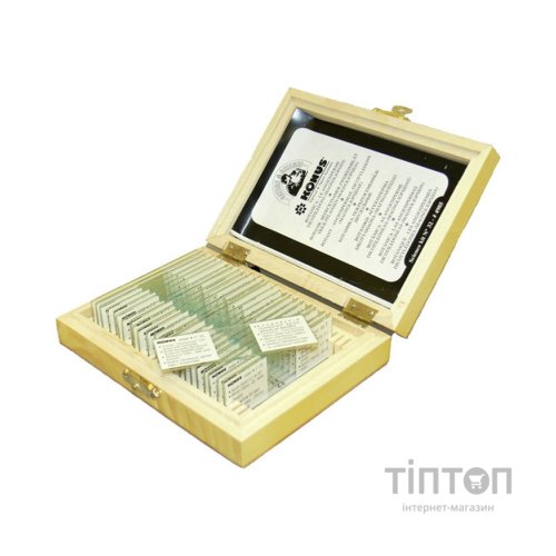 Набір мікропрепаратів Konus Ботаніка Мохи, папоротеві, голонасінні 25 шт (4983)