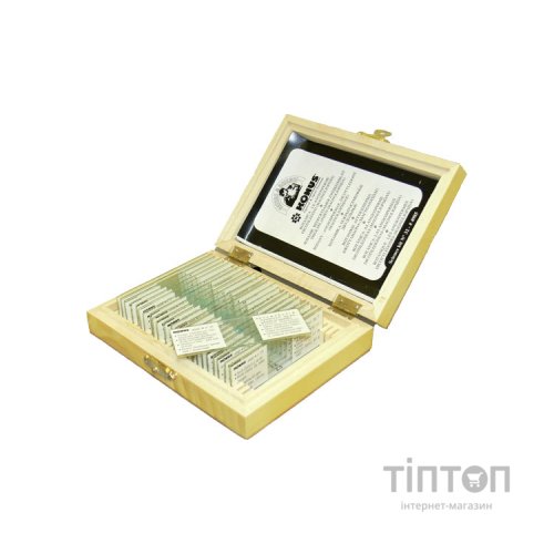 Набір мікропрепаратів Konus Людське тіло Структура органів 25 шт (4987)