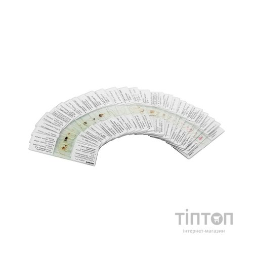 Набір мікропрепаратів Konus Зоологія Комахи 25 шт (4980)