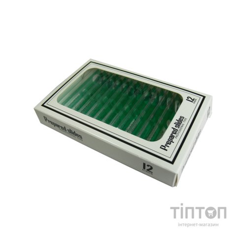 Набір мікропрепаратів Sigeta Entrance Тканини рослинних організмів 12 шт (65124)