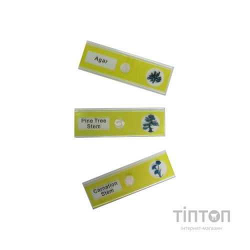 Набір мікропрепаратів Sigeta Entrance Життєві цикли рослин 12 шт (65125)