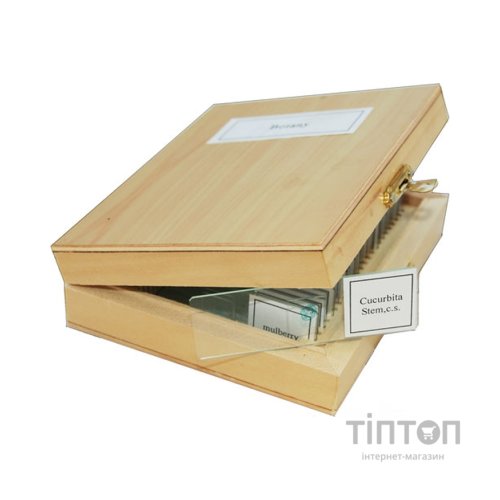 Набір мікропрепаратів Sigeta Зоологія 25 шт (65106)