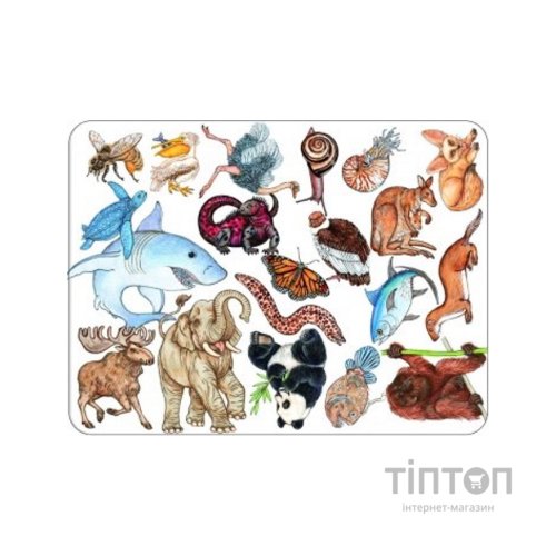 Настільна гра Djeco Займалка (Zanimatch) (DJ05153)