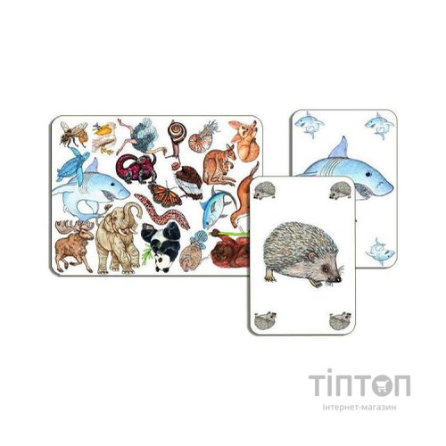 Настільна гра Djeco Займалка (Zanimatch) (DJ05153)