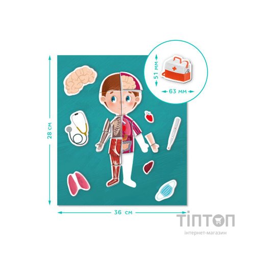 Настільна гра DoDo Магнітна Тіло (200220)