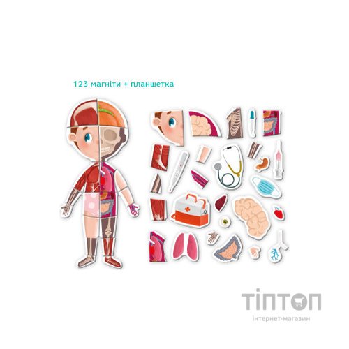 Настільна гра DoDo Магнітна Тіло (200220)