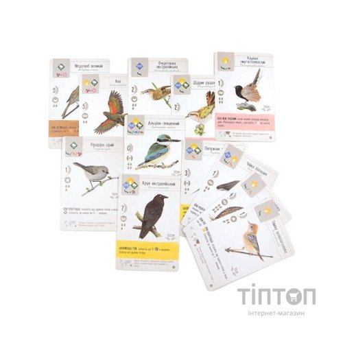 Настільна гра Ігромаг Крила: Птахи Океанії (Wingspan: Oceania Expansion) (STM903)