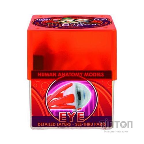 Настільна гра Professor EIN-O Очей (E2370EE)