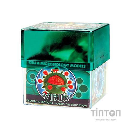 Настільна гра Professor EIN-O Вірус (E2371VS)