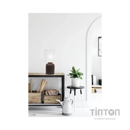 Настільна лампа Candellux INER (41-79862)