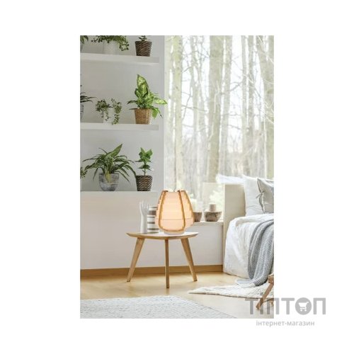 Настільна лампа Candellux NAGOJA (50501039)