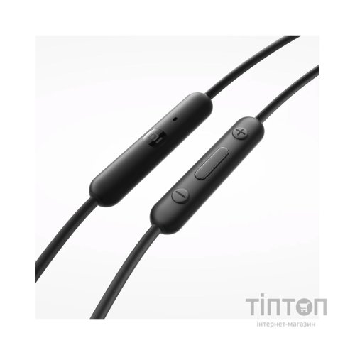 Навушники Xiaomi Type-C Earphones Black (1071791)