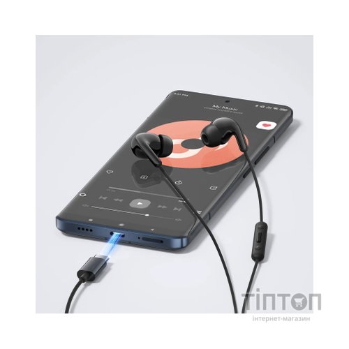 Навушники Xiaomi Type-C Earphones Black (1071791)