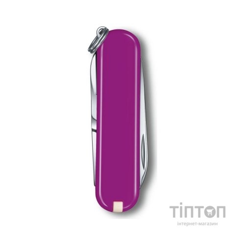 Ніж Victorinox Classic SD Colors Tasty Grape (0.6223.52G)