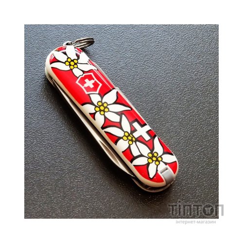 Ніж Victorinox Classic SD Edelweiss (0.6223.840)