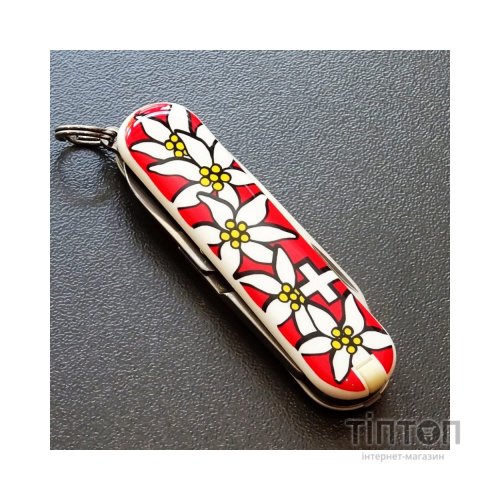Ніж Victorinox Classic SD Edelweiss (0.6223.840)