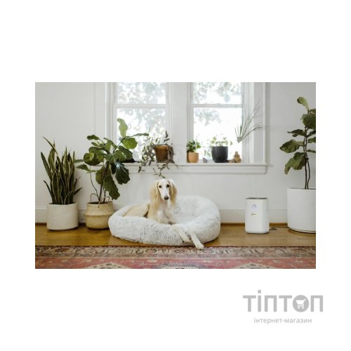 Очисник повітря Karcher AF 20 (1.024-820.0)