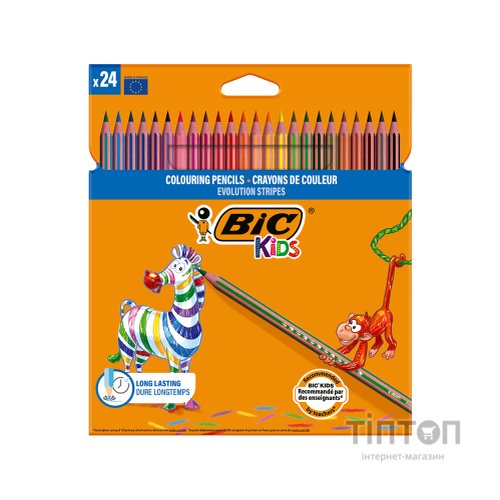 Олівці кольорові Bic Evolution Stripes 24 кольори (bc502447)