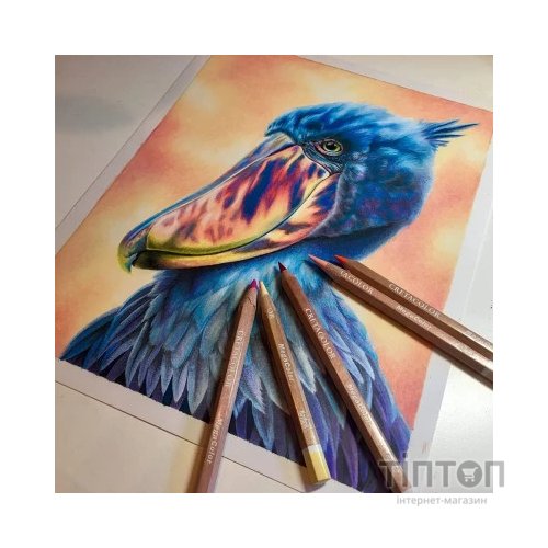 Олівці кольорові Cretacolor Megacolor 24 кольори (9014400280887)