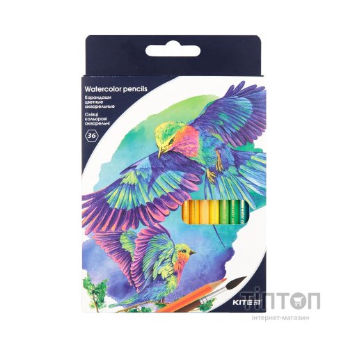 Олівці кольорові Kite Птахи акварельні 36 кольорів (K18-1052)