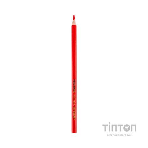 Олівці кольорові Kite Transformers 12 кольорів (TF24-051)