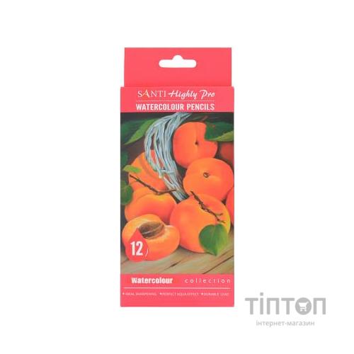 Олівці кольорові Santi Highly Pro 12 шт акварельні (742383)