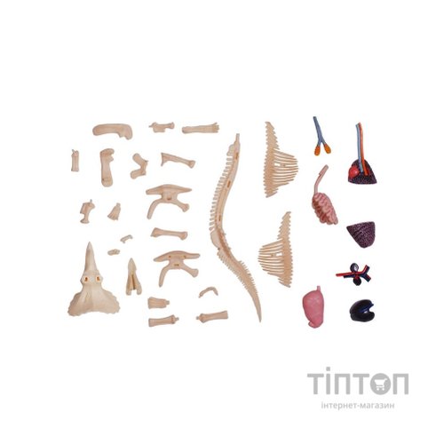 Пазл 4D Master Master Трицератопс (FM-622014)