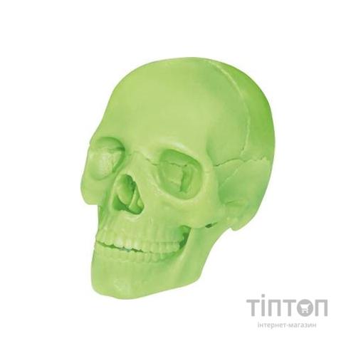 Пазл 4D Master Об'ємна анатомічна модель Череп людини світиться (FM-626113)