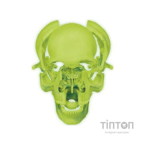 Пазл 4D Master Об'ємна анатомічна модель Череп людини світиться (FM-626113)
