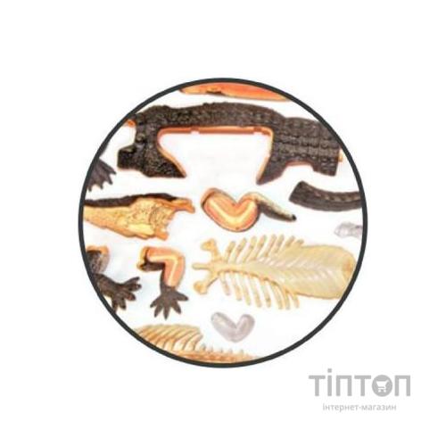 Пазл 4D Master Об'ємна анатомічна модель Крокодил (FM-622034)