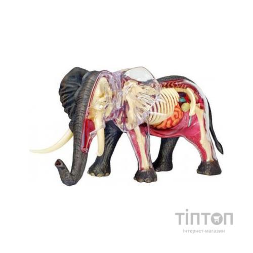 Пазл 4D Master Об'ємна анатомічна модель Слон (FM-622037)