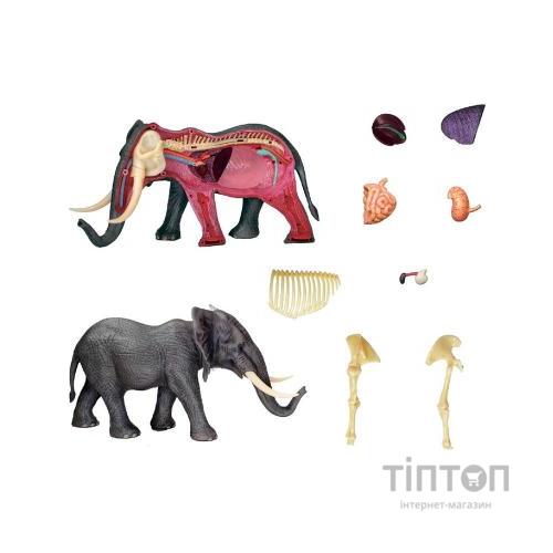 Пазл 4D Master Об'ємна анатомічна модель Слон (FM-622037)