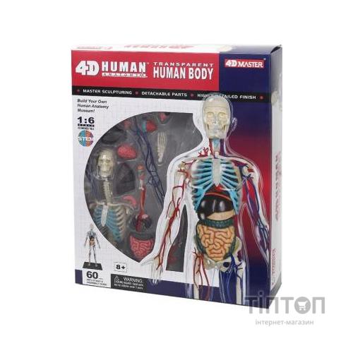 Пазл 4D Master Об'ємна анатомічна модель Тіло людини прозоре (FM-626204)