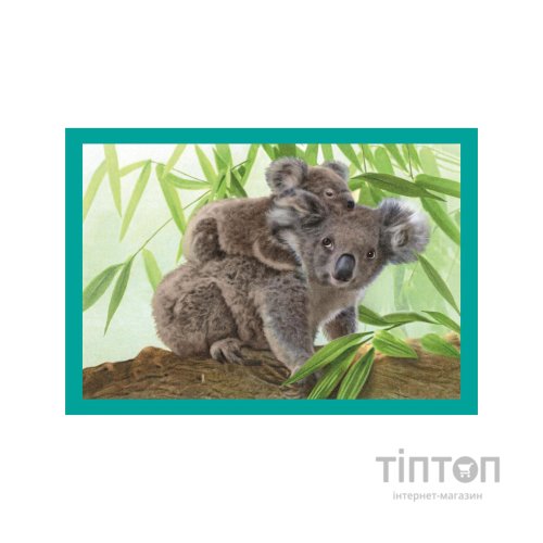 Пазл Clementoni 4 в 1 Baby Cuddles, 12,16,20 та 24 елементи (21532)
