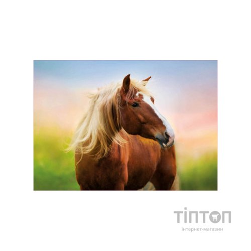 Пазл Educa Кінь на світанку 500 елементів (6336984)
