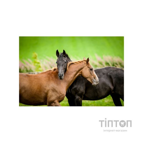 Пазл Educa Коні 200 елементів (6336982)