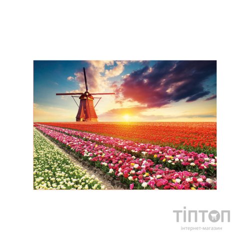 Пазл Educa Пейзаж з тюльпанами 1500 елементов (6425268)
