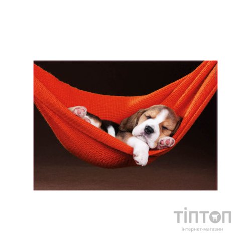 Пазл Educa Сон в гамаку 500 елементів (6425278)