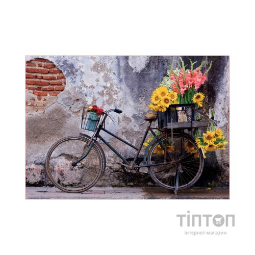 Пазл Educa Велосипед і квіти 500 елементів (6336906)