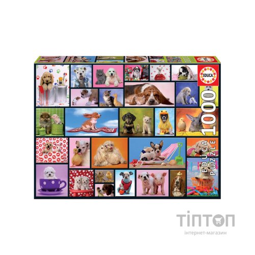 Пазл Educa Загальні моменти 1000 елементів (6425288)