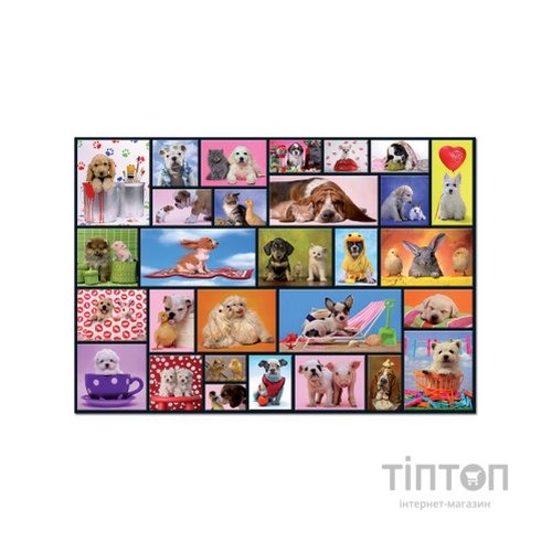 Пазл Educa Загальні моменти 1000 елементів (6425288)