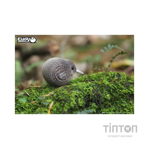 Пазл Eugy 3D Зоопарк Ківі (XEG-001)