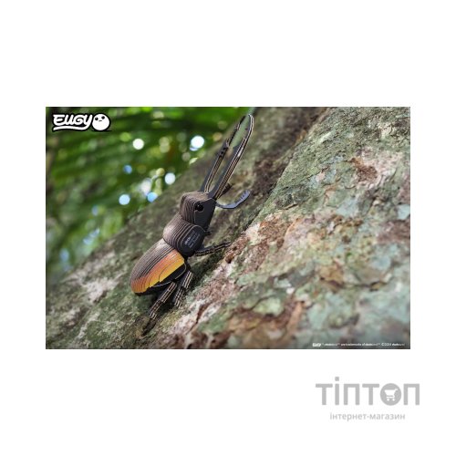 Пазл Eugy 3D Зоопарк Жук-олень (XEG-114)