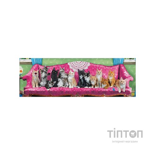 Пазл Eurographics Коти на кушетці, 1000 елементів панорамний (6010-5629)